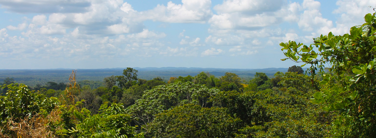 L'UFR Gestion de l'environnement