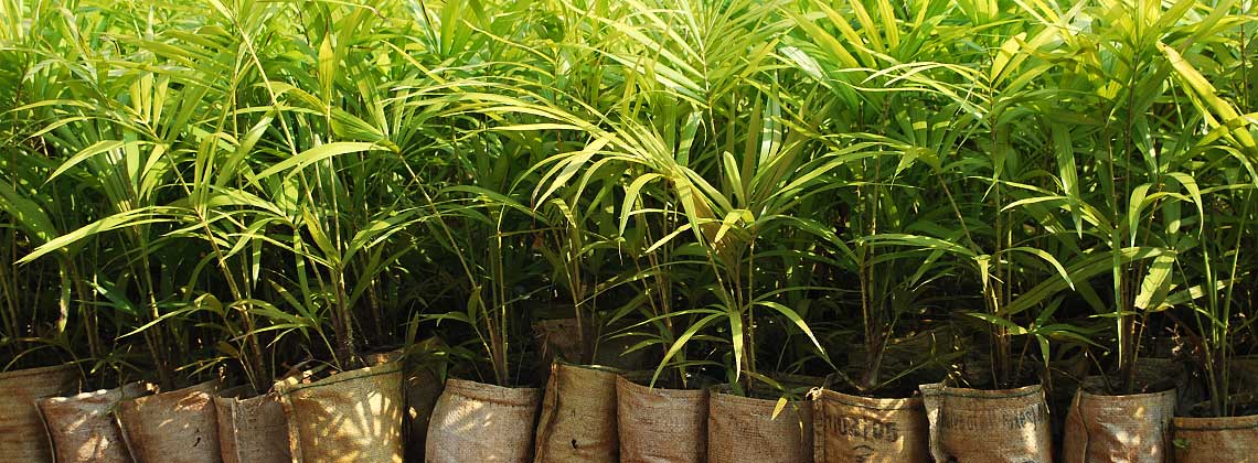 Activités de recherche