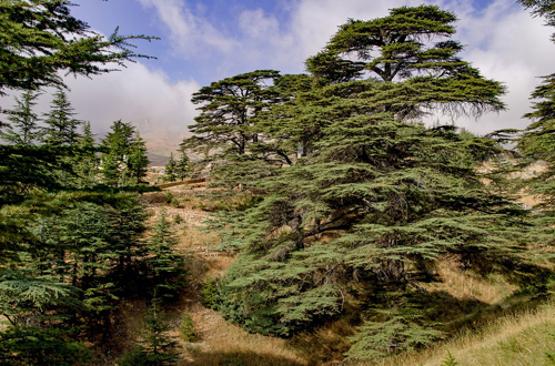 Mission collective FNS-MI 2008