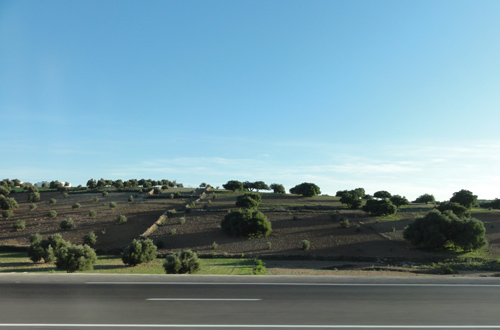 Mission collective FNS-MI 2009