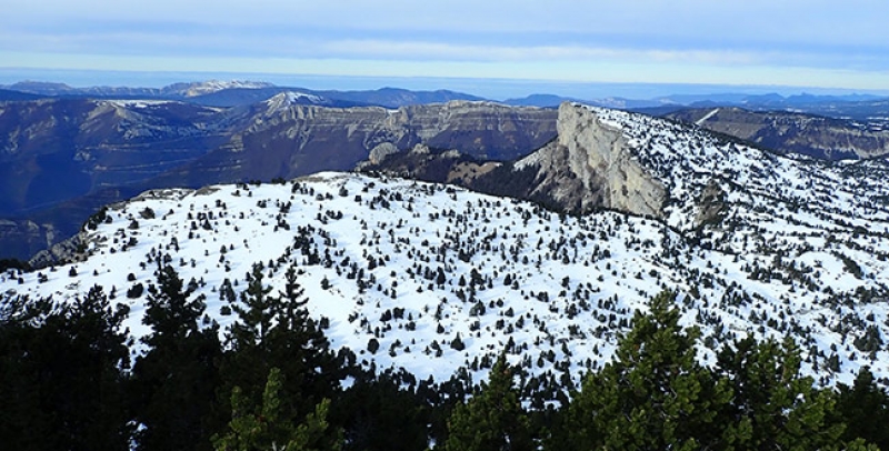 Nature policies and environmental ENGO strategies