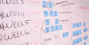 Thematic project