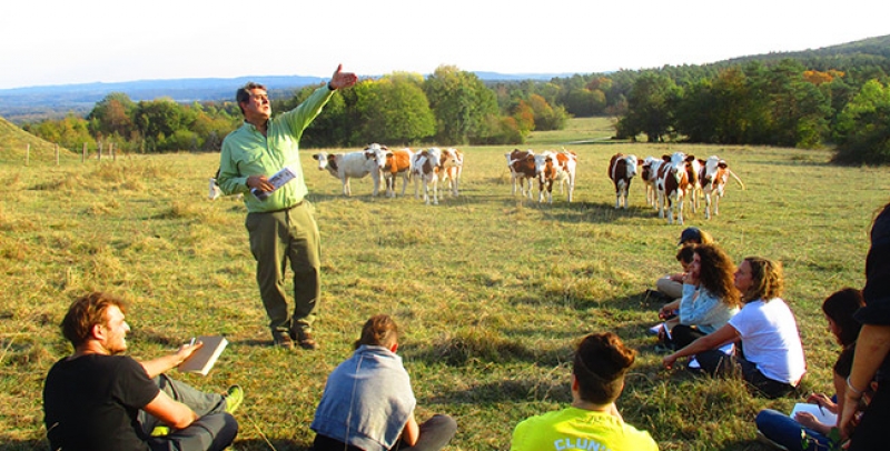 Forestry management tour