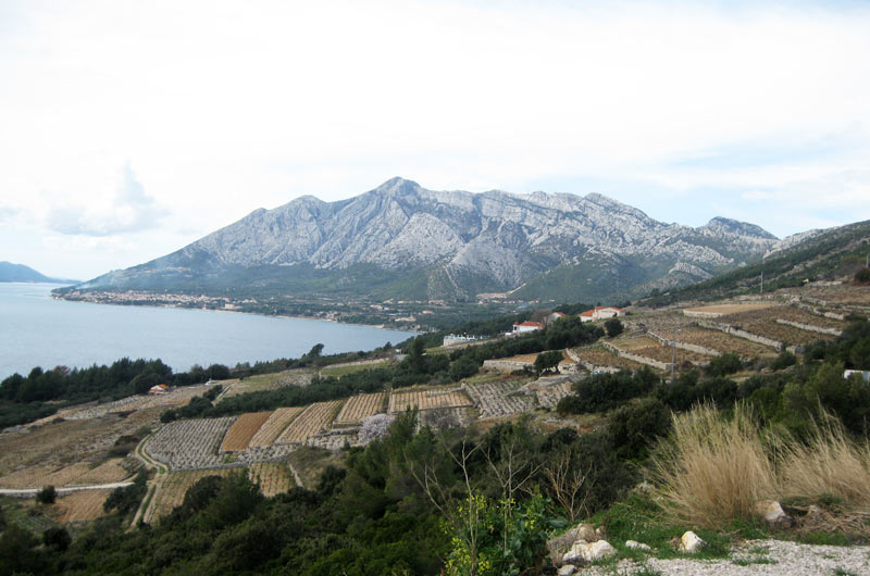 Analyse stratégique de la gestion environnementale sur les îles Dalmates - Croatie