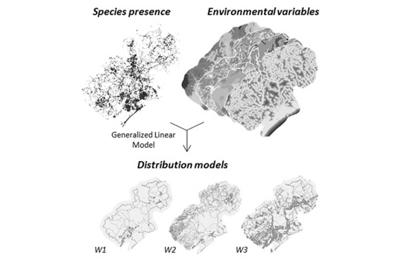 Nouvelle publication en gestion de l'environnement