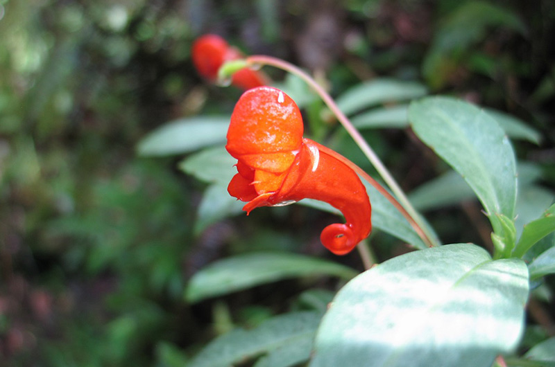 Interview de Clément Feger dans la Revue du Trombinoscope