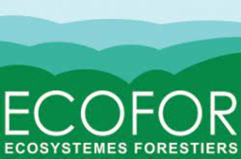 Colloque GIP Ecofor 2024