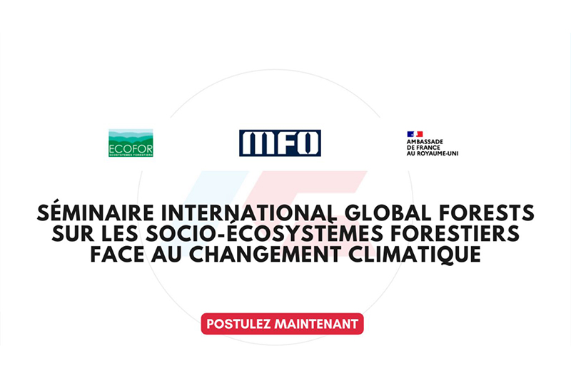 Appel à communication - Global Forests 2026